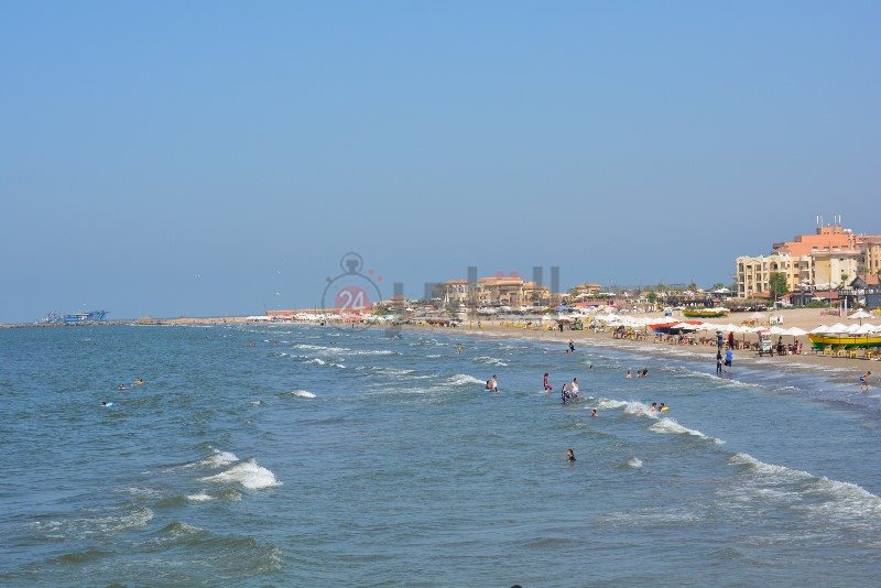 DSC_0193_copy_800x534_1