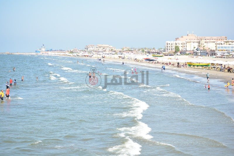 DSC_0200_copy_800x534_1