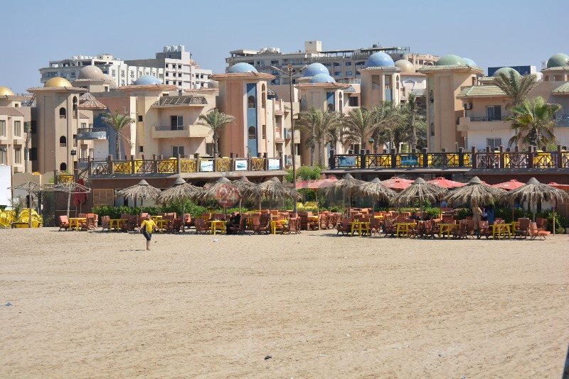 DSC_0203_copy_800x534