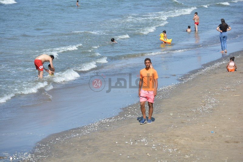 DSC_0204_copy_800x534