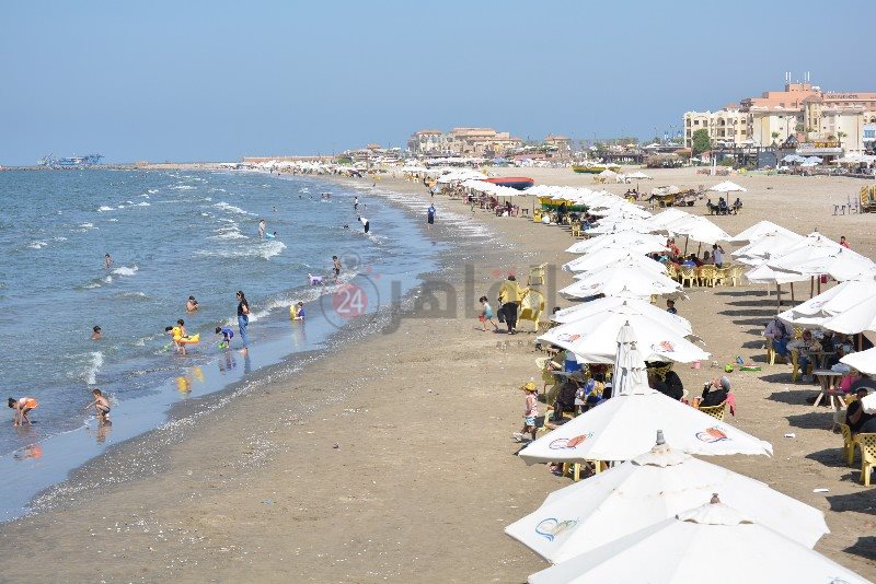 DSC_0207_copy_800x534