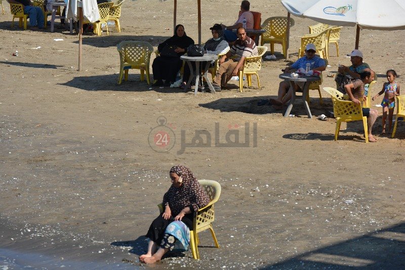 DSC_0218_copy_800x534