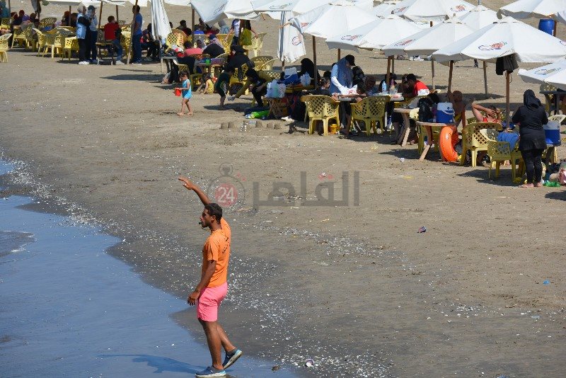 DSC_0212_copy_800x534