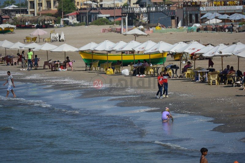 DSC_0220_copy_800x534