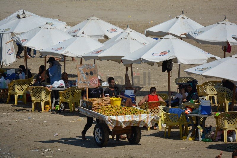 DSC_0219_copy_800x534