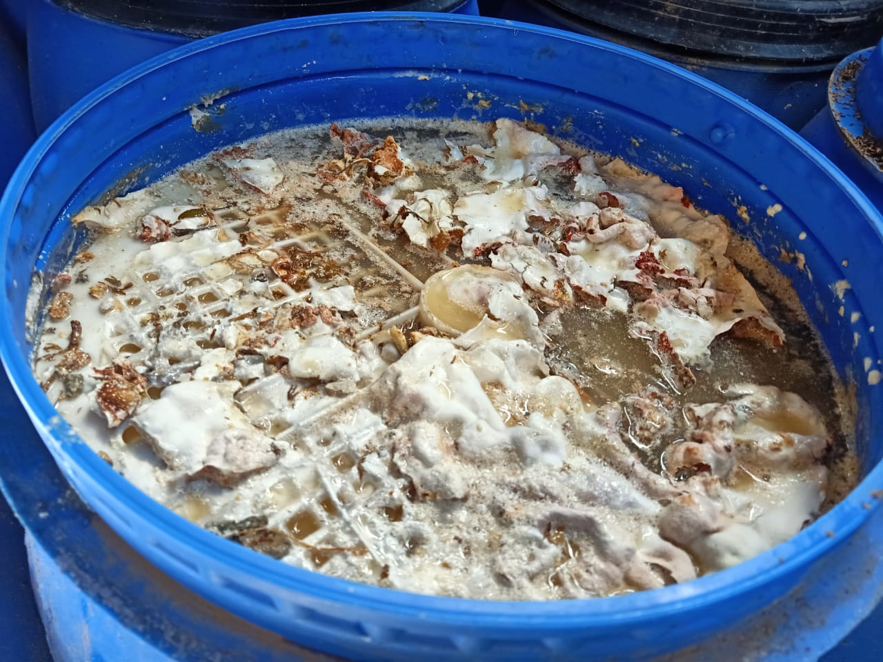 مخللات غير صالحة للاستهلاك الآدمي بالشرقية 04