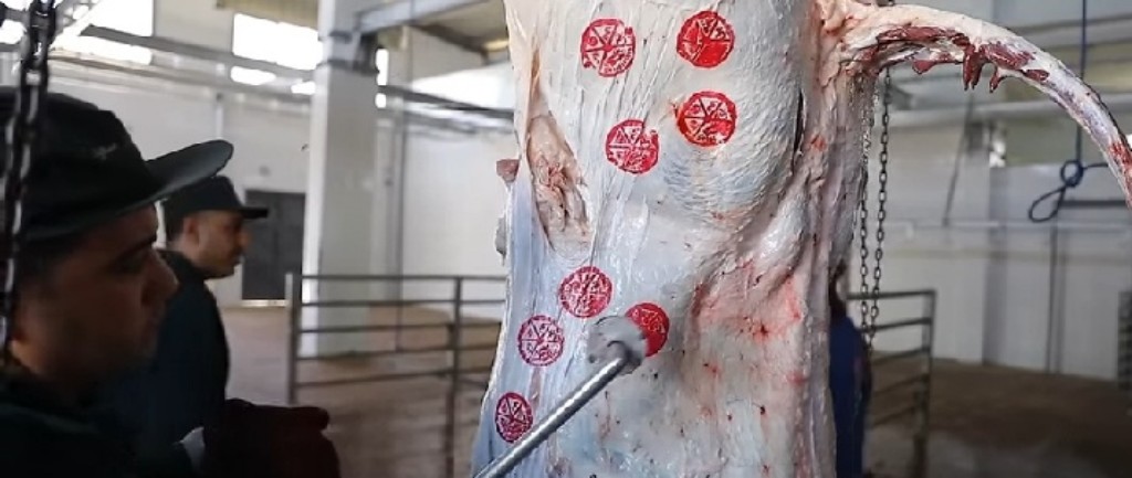 1594780514713_Screenshot_٢٠١٩٠٧٢٢-٢٠٠٣٢٨_Facebook-01-1024x433 (1)