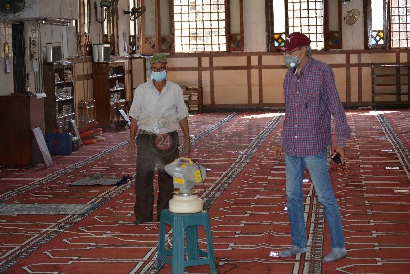 DSC_0228_copy_800x534