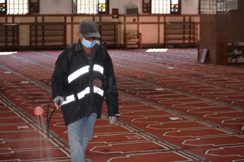 DSC_0226_copy_800x534