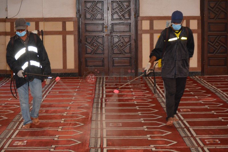 DSC_0223_copy_800x534