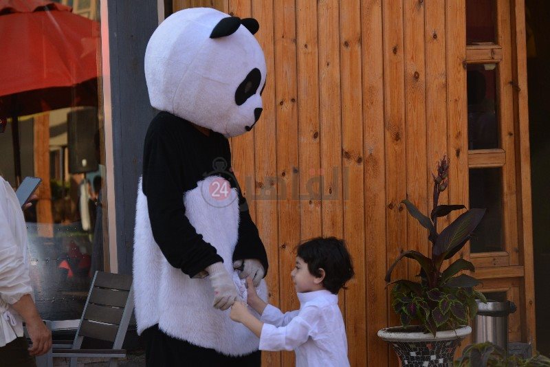 DSC_0256_copy_800x534