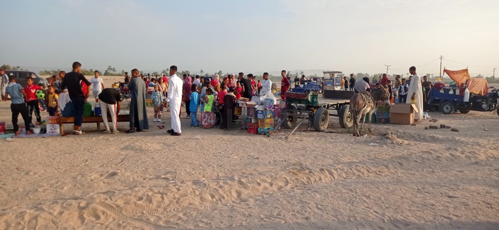 شباب وأطفال قنا يحتفلون بعيد الأضحى وسط المقابر