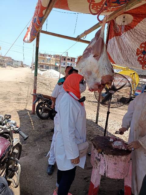 حملة على شوادر اللحوم في الشرقية 01