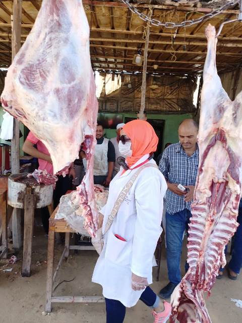 حملة على شوادر اللحوم في الشرقية 03