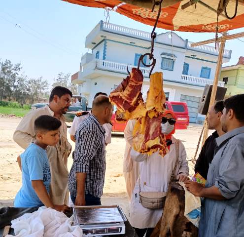 حملة على شوادر اللحوم في الشرقية 04