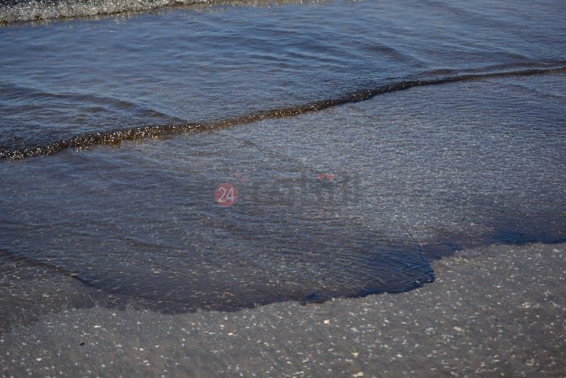 السواد يكسو مياه شاطئ بورسعيد