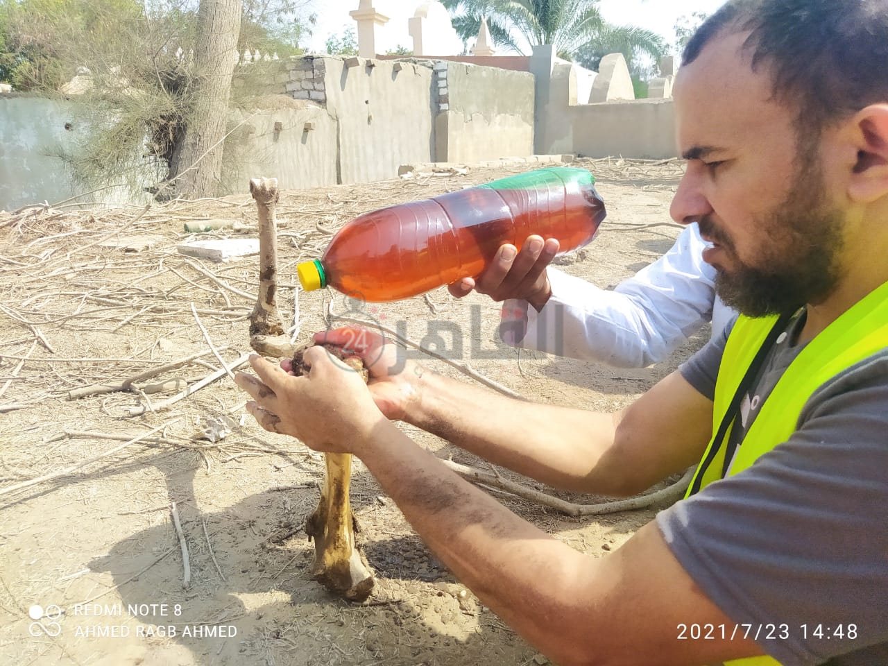 جانب من الأسحار