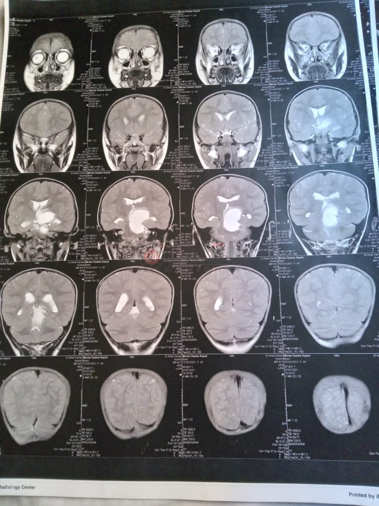 ff87e79d-96a4-40e2-a696-5493f00ad246