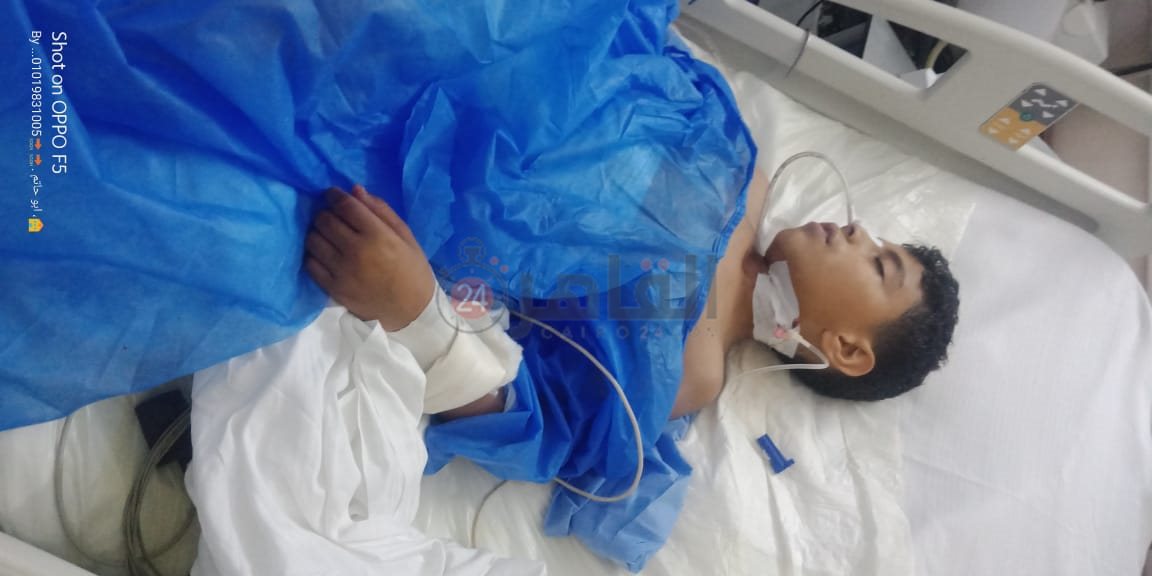 2640d068-c667-4de6-a50f-b782153225d8