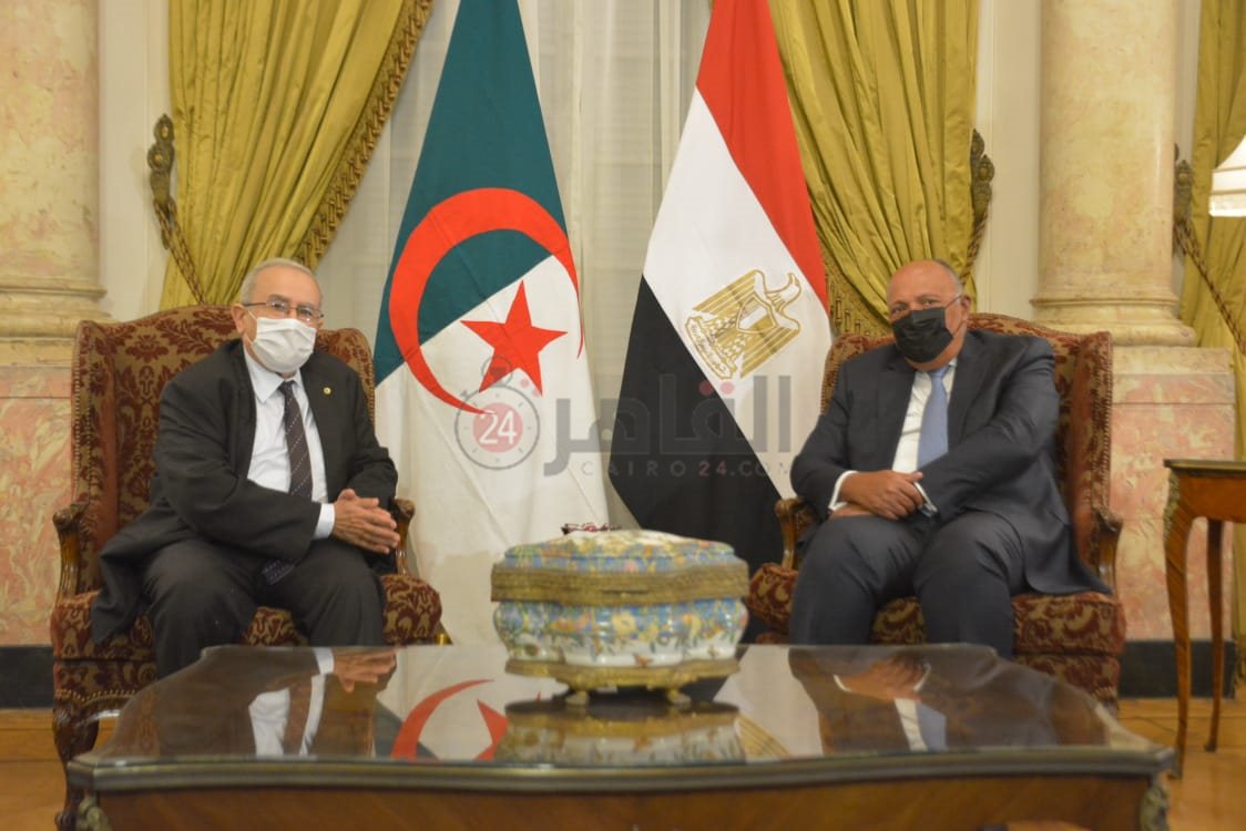 وزيرا الخارجية المصري والجزائري