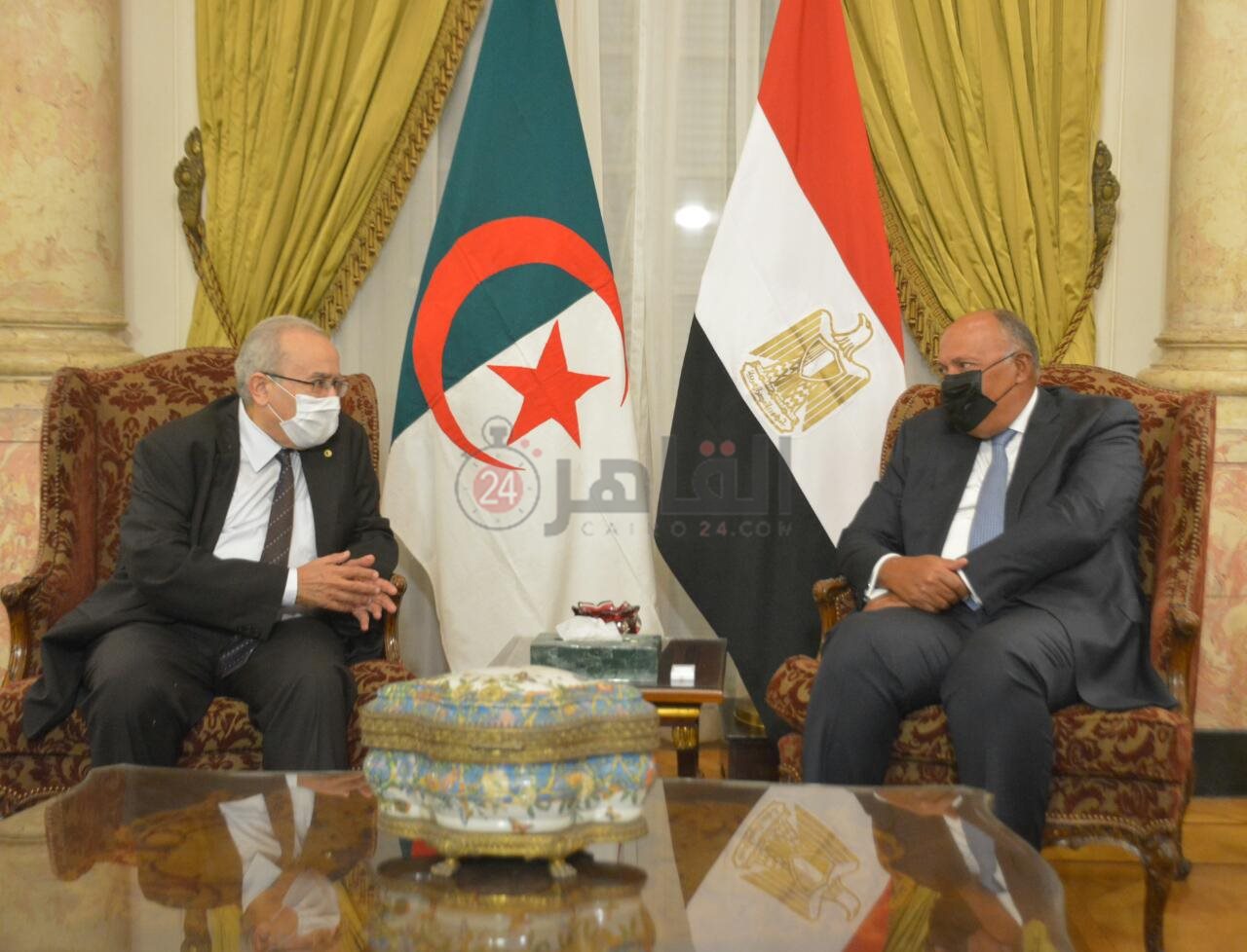 وزيرا الخارجية المصري والجزائري