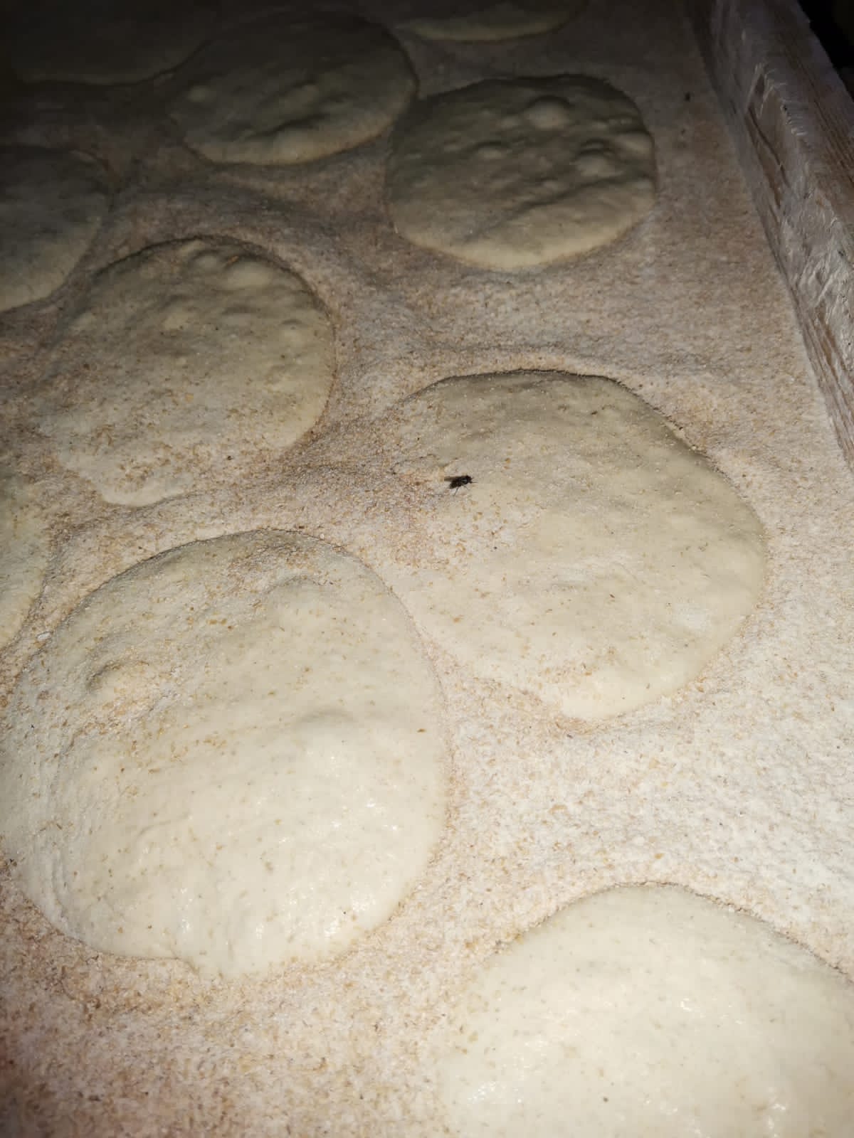 حملة تفتيشية على المخابز بالشرقية 05