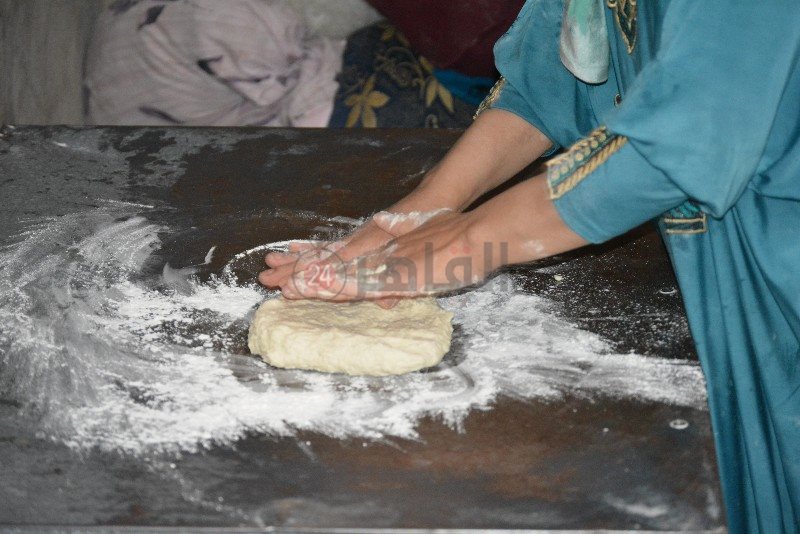 DSC_0373_copy_800x534