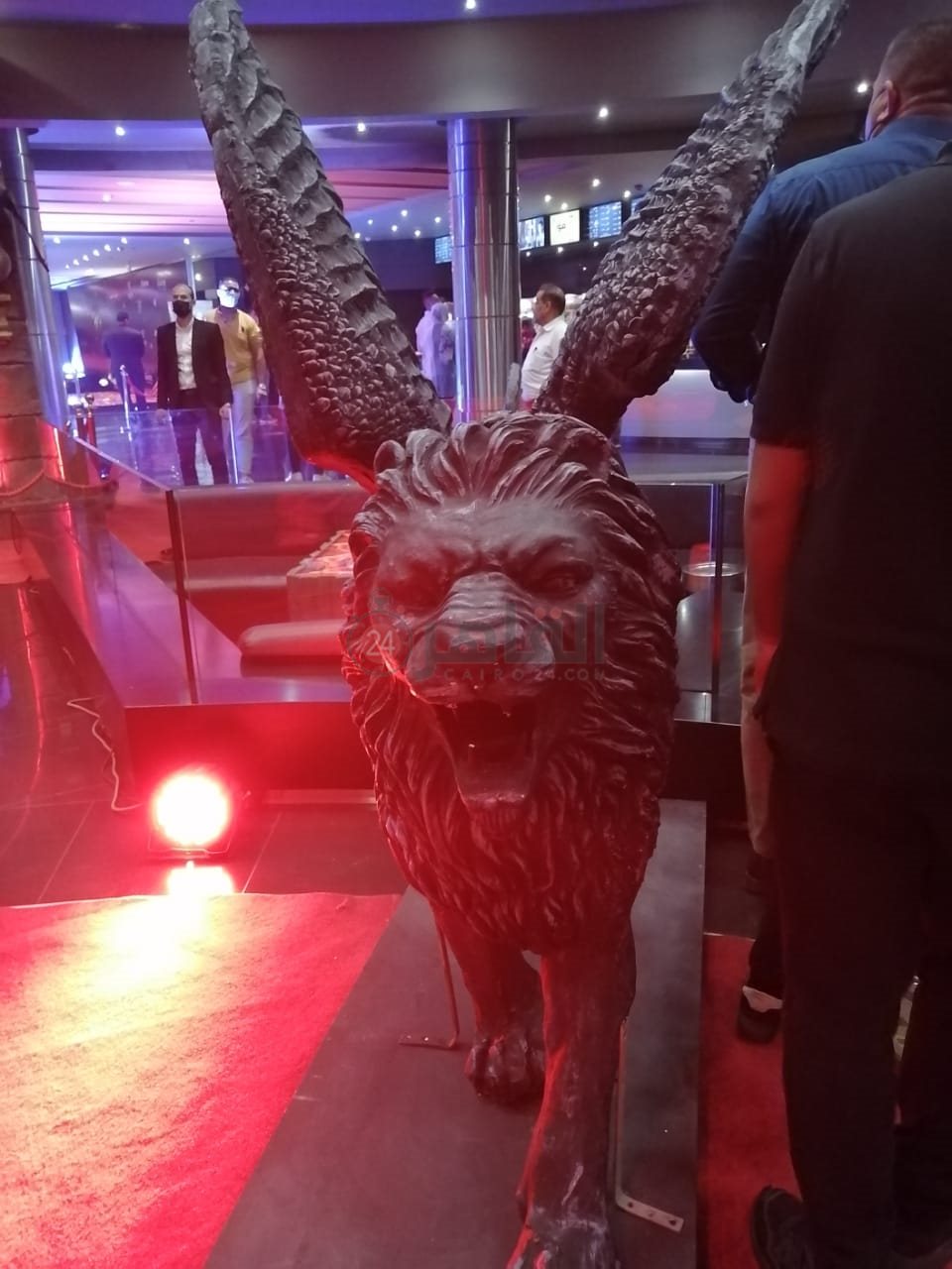 استعدادات العرض الخاص لفيلم الإنس والنمس (1)