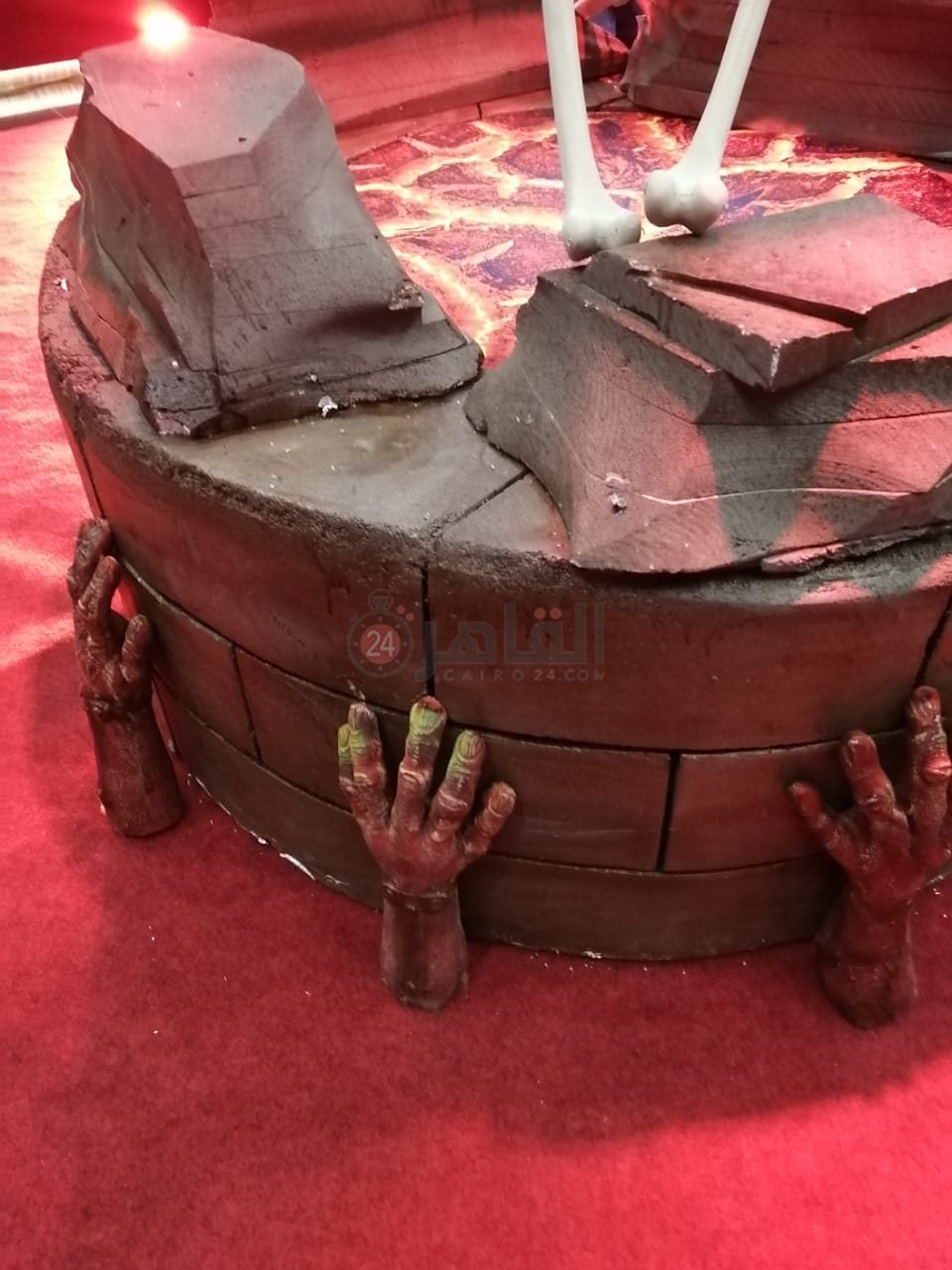 استعدادات العرض الخاص لفيلم الإنس والنمس (7)