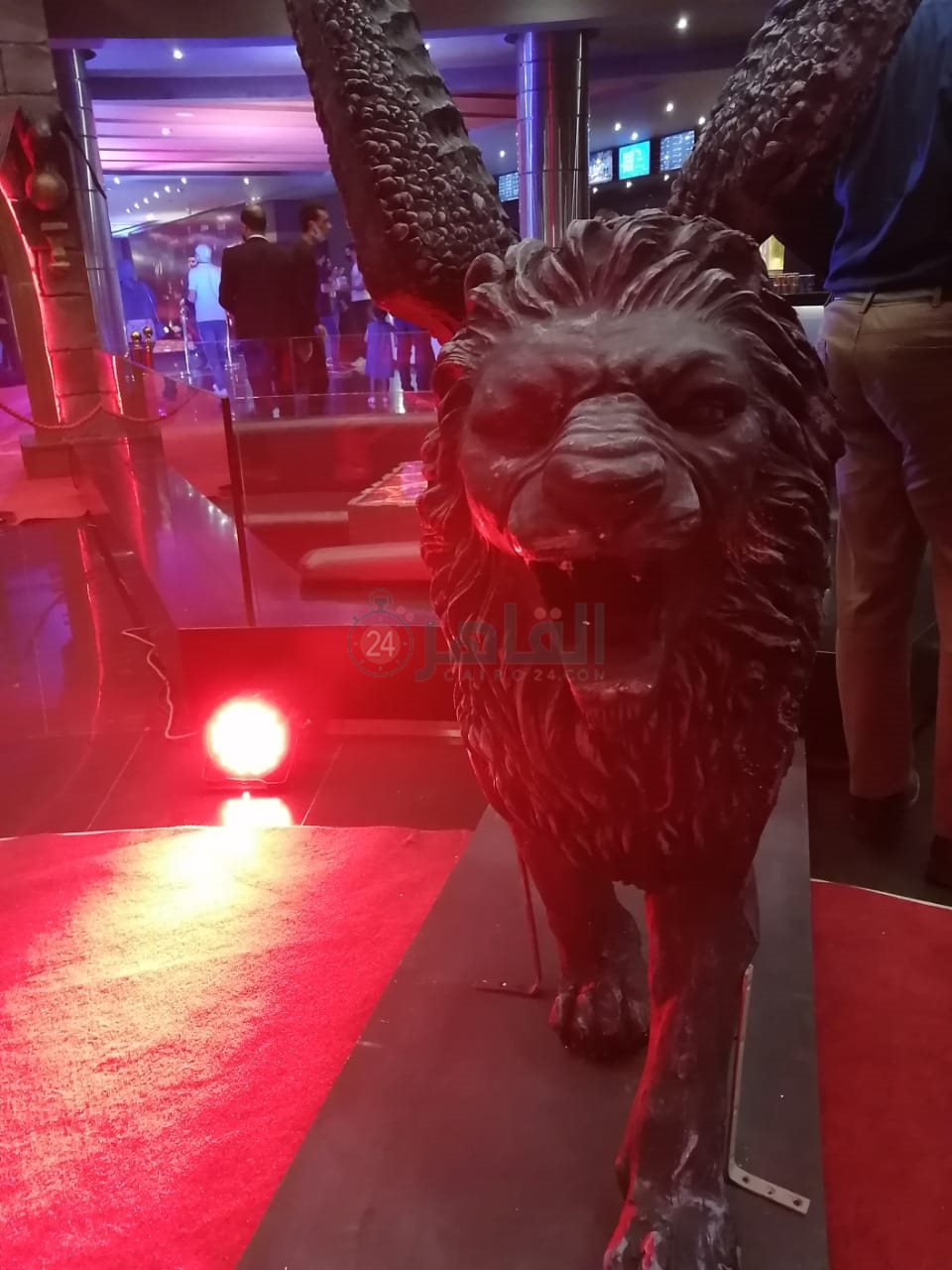 استعدادات العرض الخاص لفيلم الإنس والنمس (9)