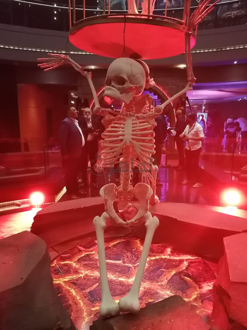 العرض الخاص لفيلم الانس والنمس (5)