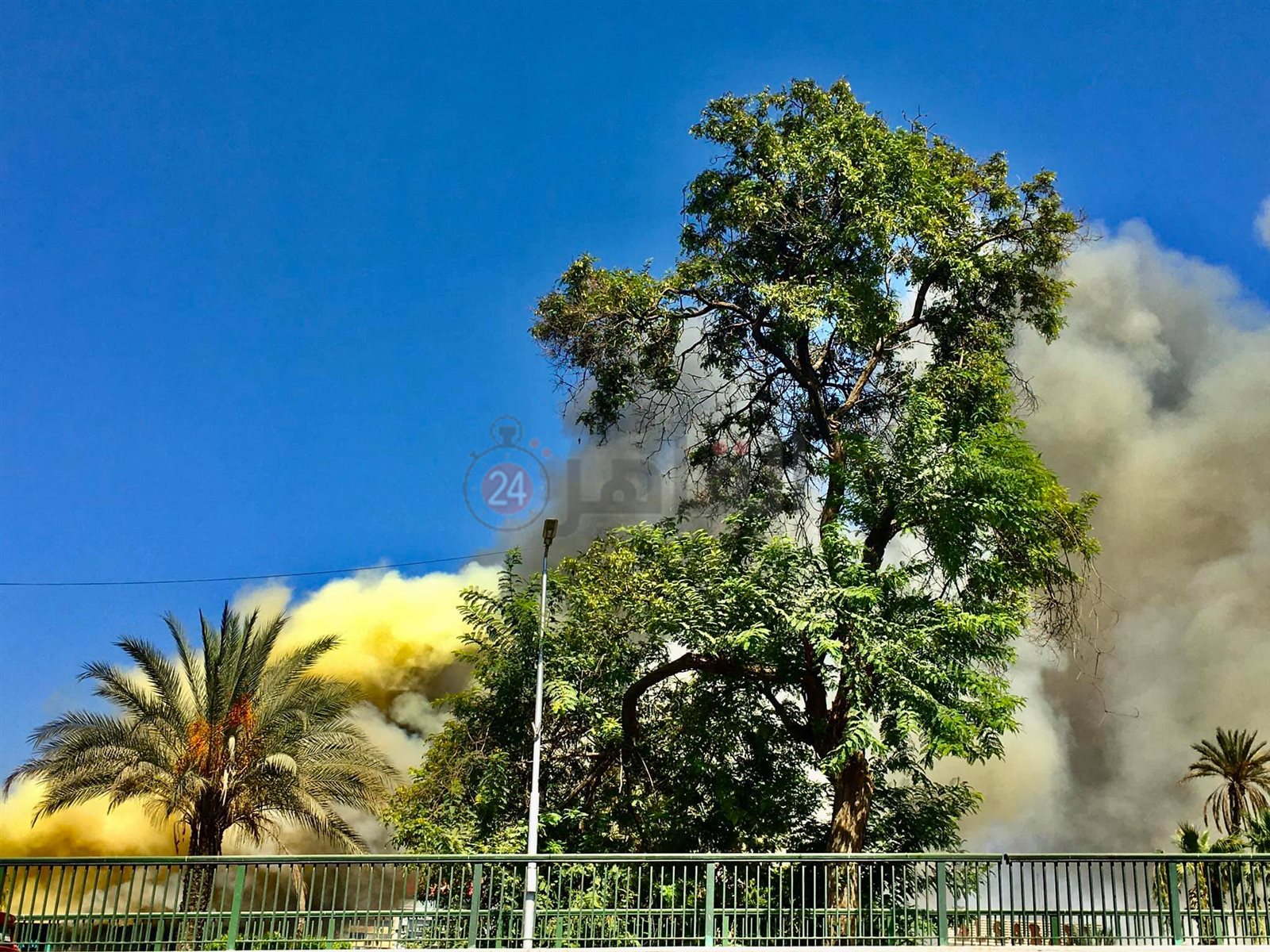 233451209_4092511290866783_6482481122536120034_n