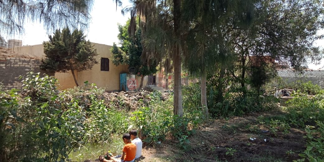 خليج الري مصدر أزمة لأهالي عزبة بالشرقية 02