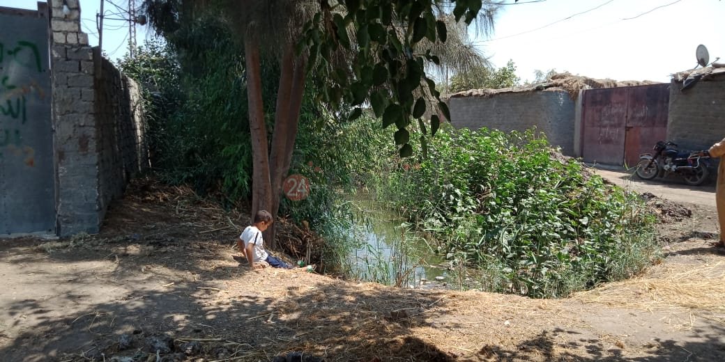 خليج الري مصدر أزمة لأهالي عزبة بالشرقية 03