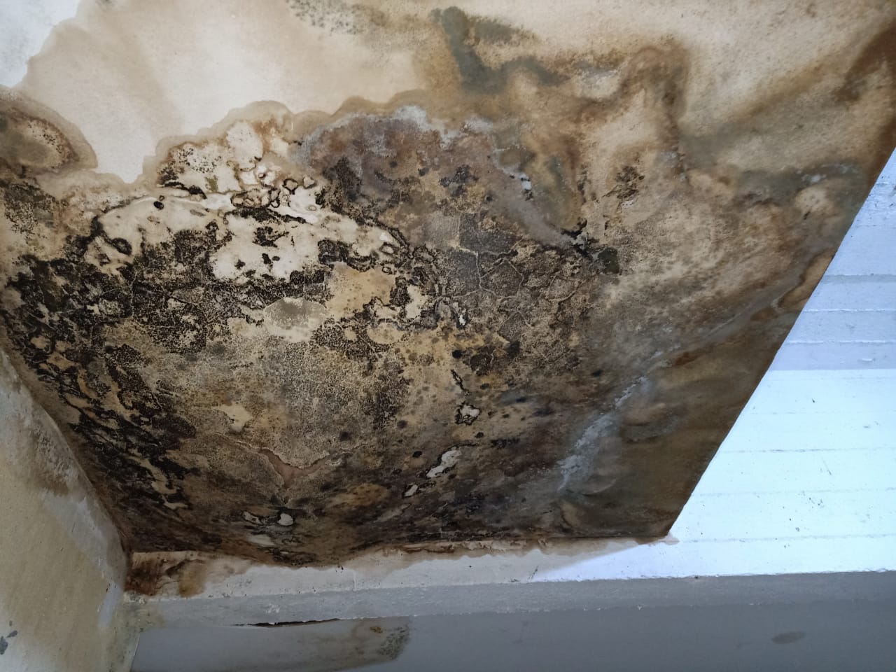 حملة تفتيشية على المطاعم بالزقازيق 12