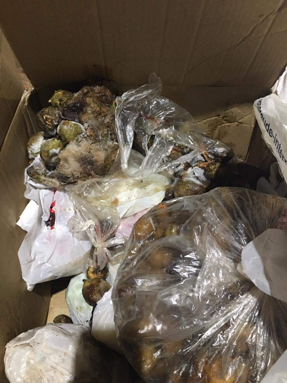 حملة تموينية في الفيوم