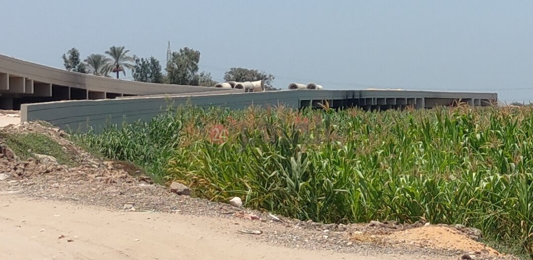 مكان العثور على جثة المجني عليه 2