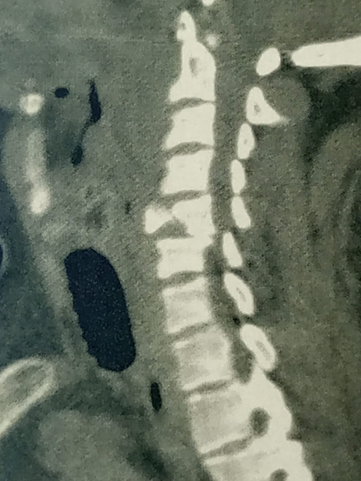 236224216_5940442669362678_2404788003969674848_n