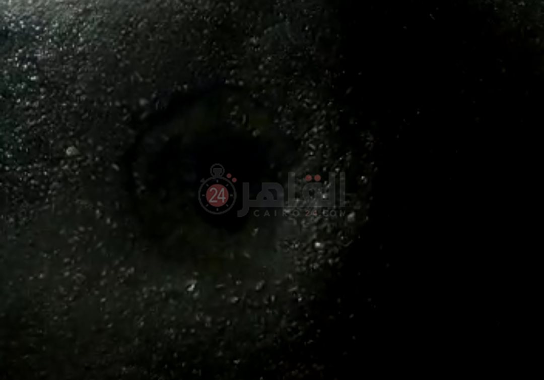 Screenshot_٢٠٢١٠٨١٤-٠٠٠٦١٨_WhatsApp