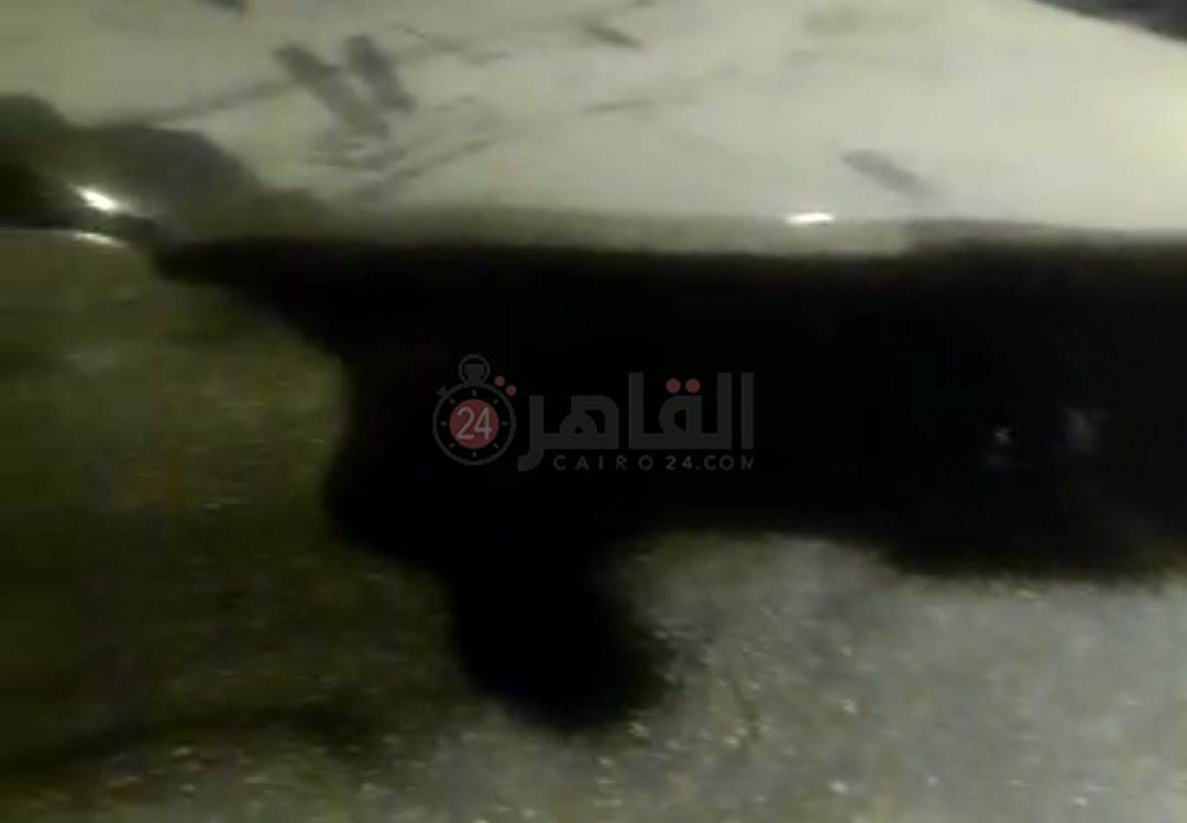 Screenshot_٢٠٢١٠٨١٤-٠٠٠٦٠٦_WhatsApp