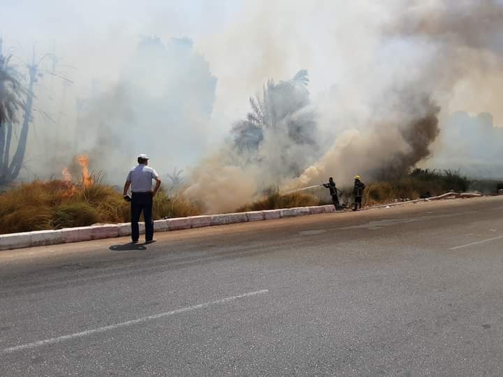 حريق بالأراضي الزراعية بأسوان 