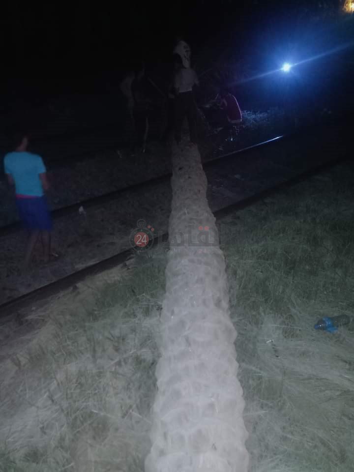 منطقة سقوط النخلة على القضبان