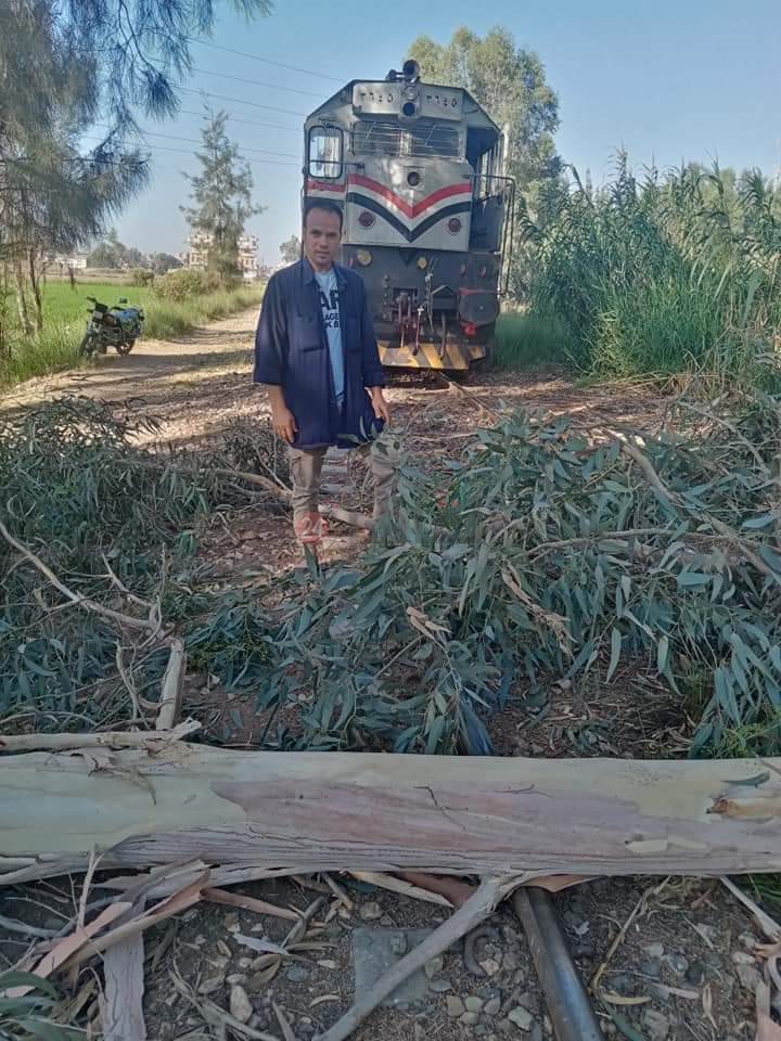 صور من الحادث 