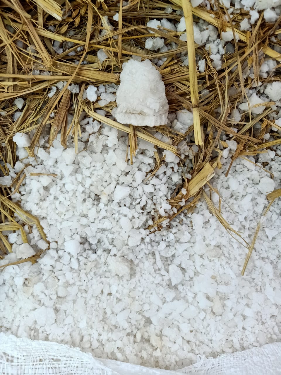 حملة على مصانع الأغذية بالشرقية 1