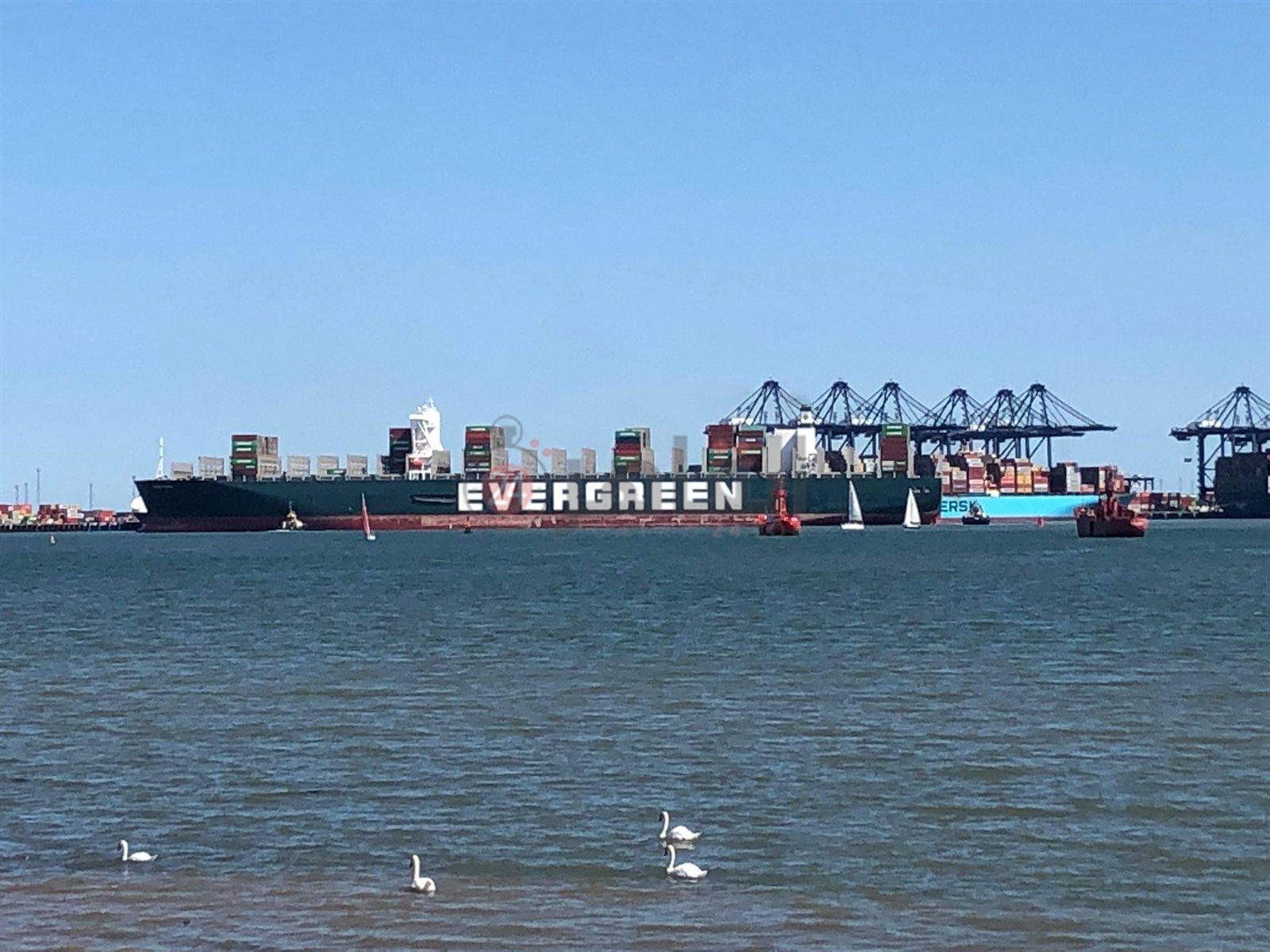 received_572846220546911