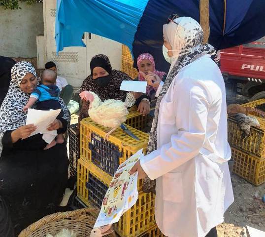 حملة بيطرية لتطعيم الطيور ضد الأنفلونزا بالشرقية 04