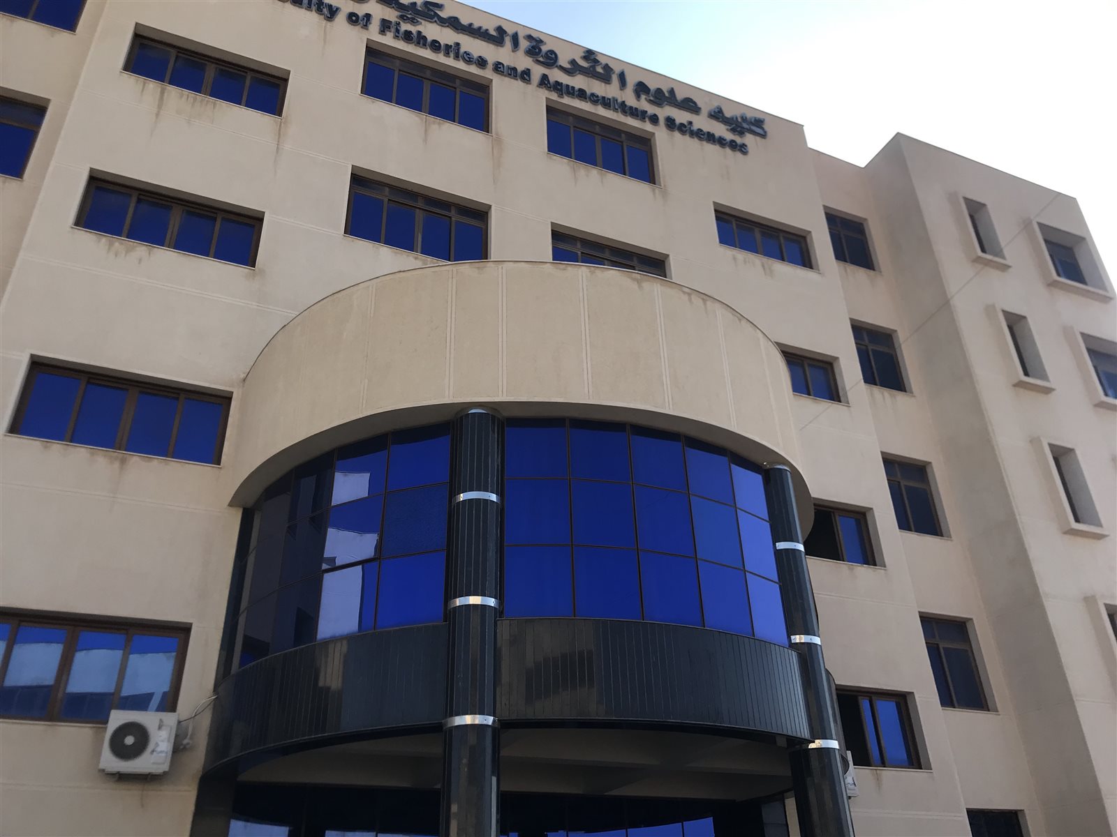 BF2675A8-BCF6-4F39-BB01-43020593667D