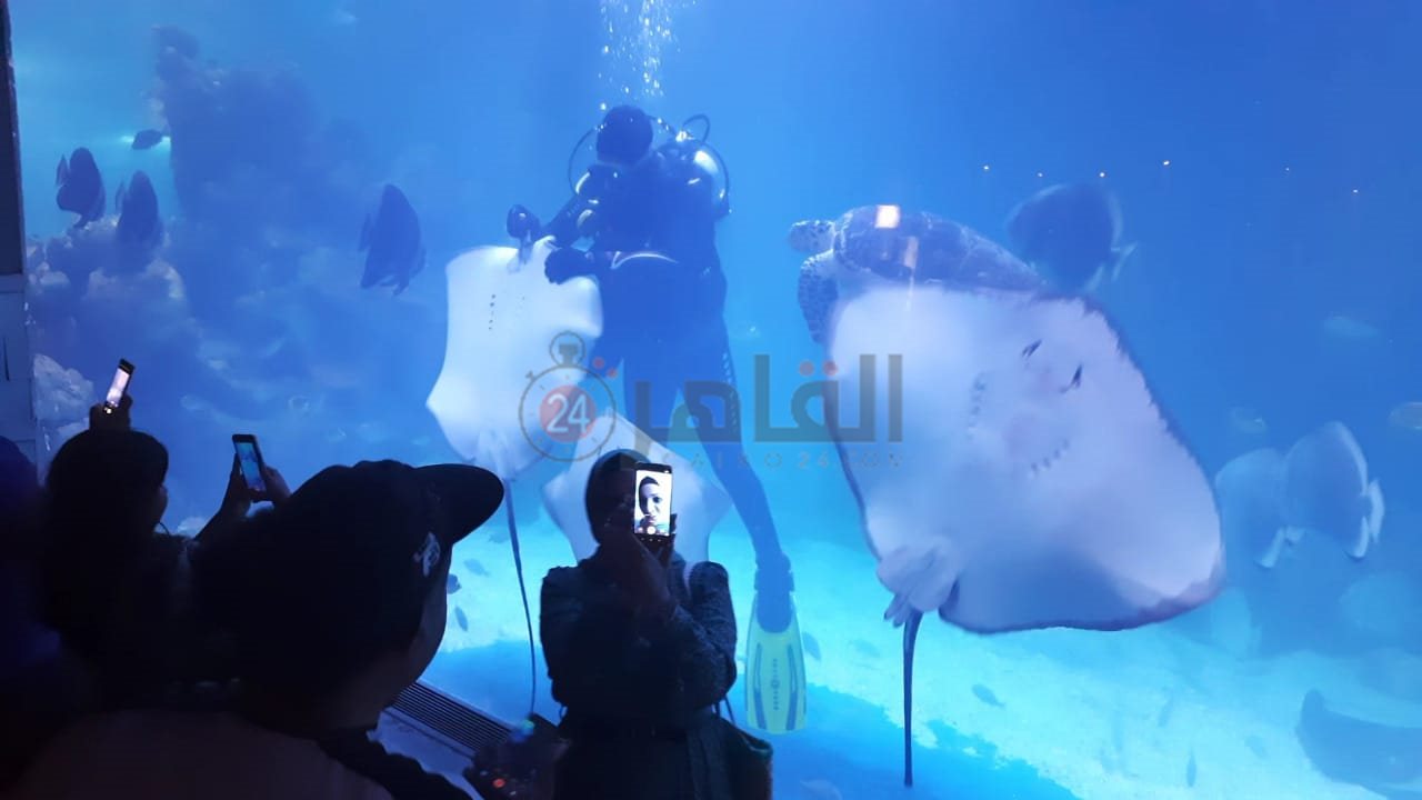 أكواريوم بالغردقة