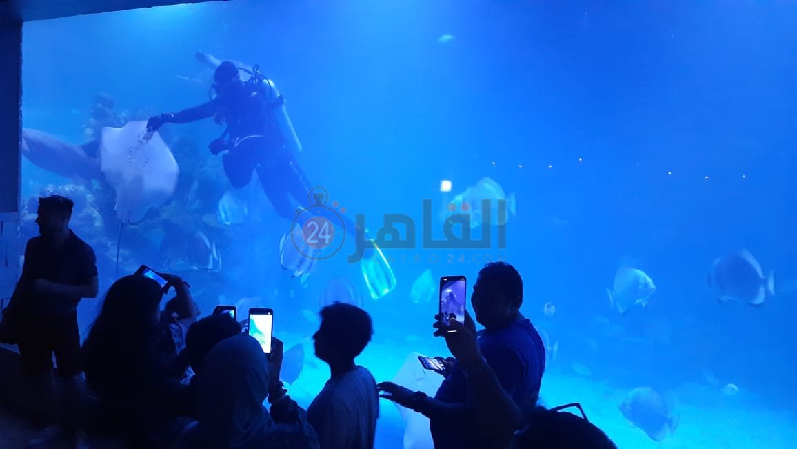 أكواريوم بالغردقة