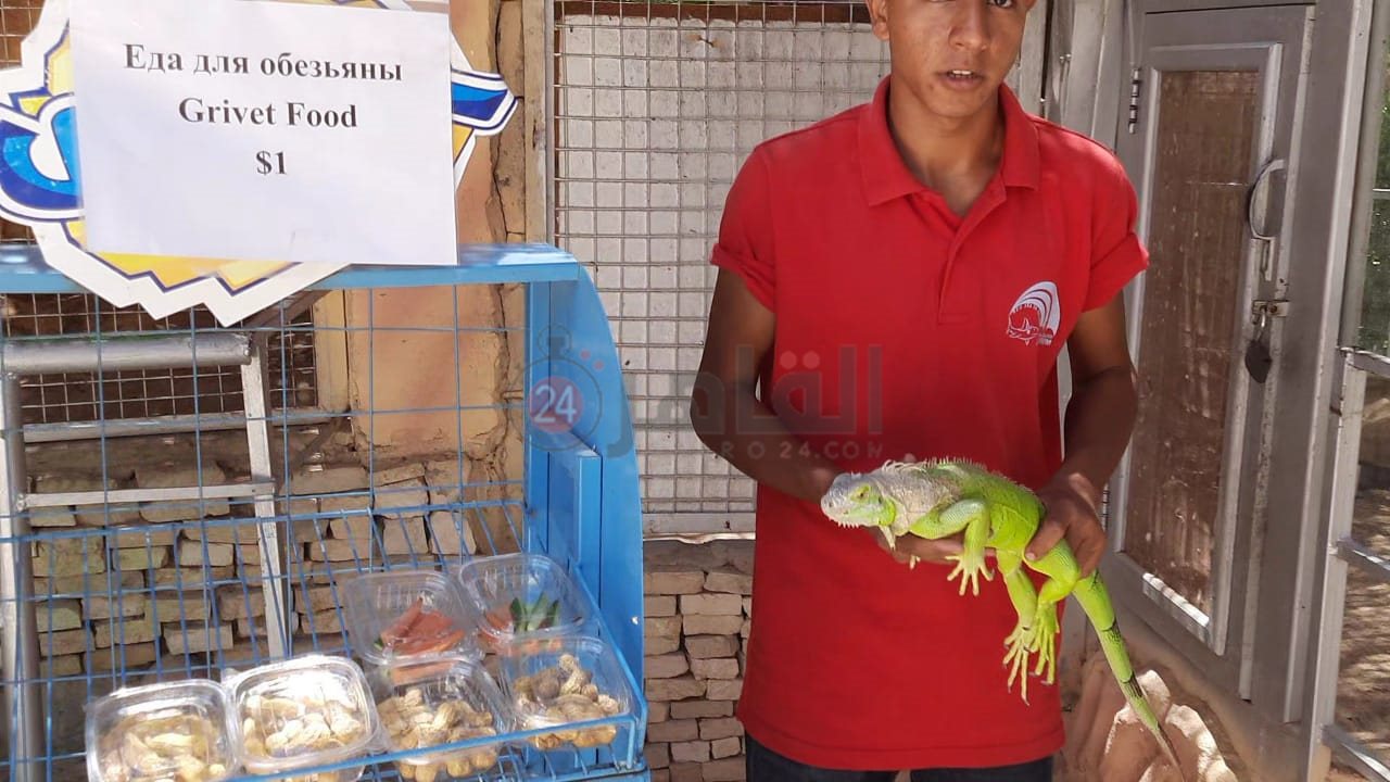 أكواريوم بالغردقة